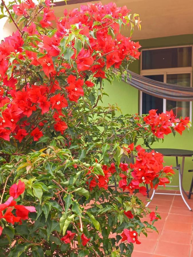מאריגוט Serenity Lodges Dominica מראה חיצוני תמונה