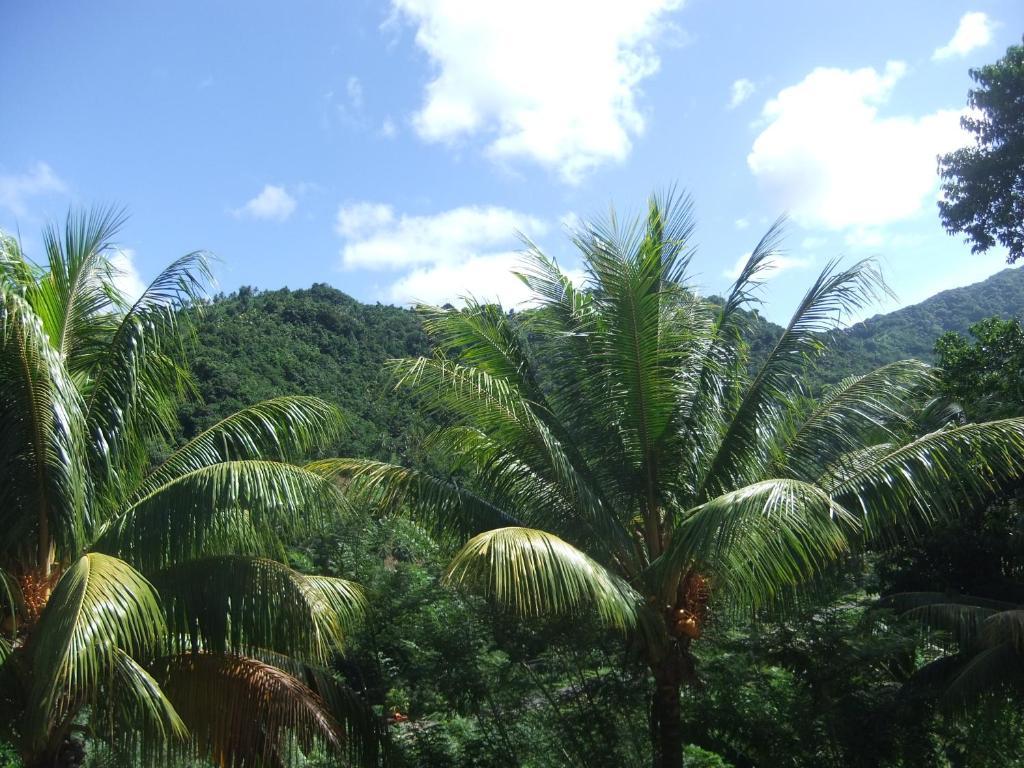 מאריגוט Serenity Lodges Dominica חדר תמונה