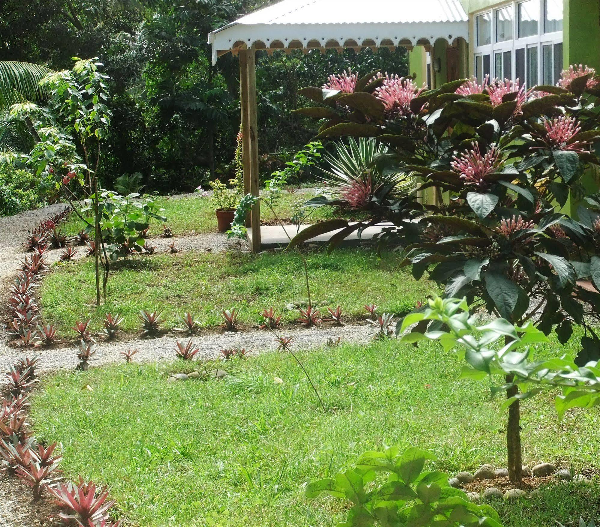 מאריגוט Serenity Lodges Dominica מראה חיצוני תמונה