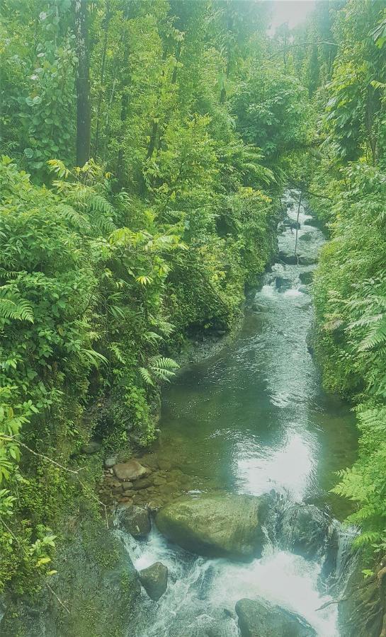 מאריגוט Serenity Lodges Dominica מראה חיצוני תמונה